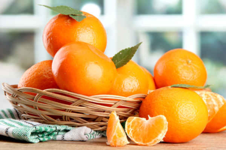 สรรพคุณของส้ม จุดเด่นของส้มแต่ละชนิด
